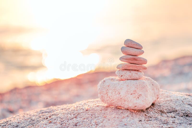 Rocky Mountain ×BALANCE+HARMONY 40 Fusion 40 29 Black/Brown Medium