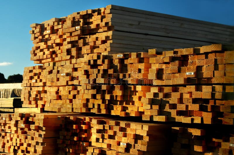Stacked Timber royalty free stock photo Stacked Timber royalty free stock photo