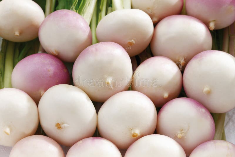 Baby red turnips for sale stock photo. Image of shop 70528552