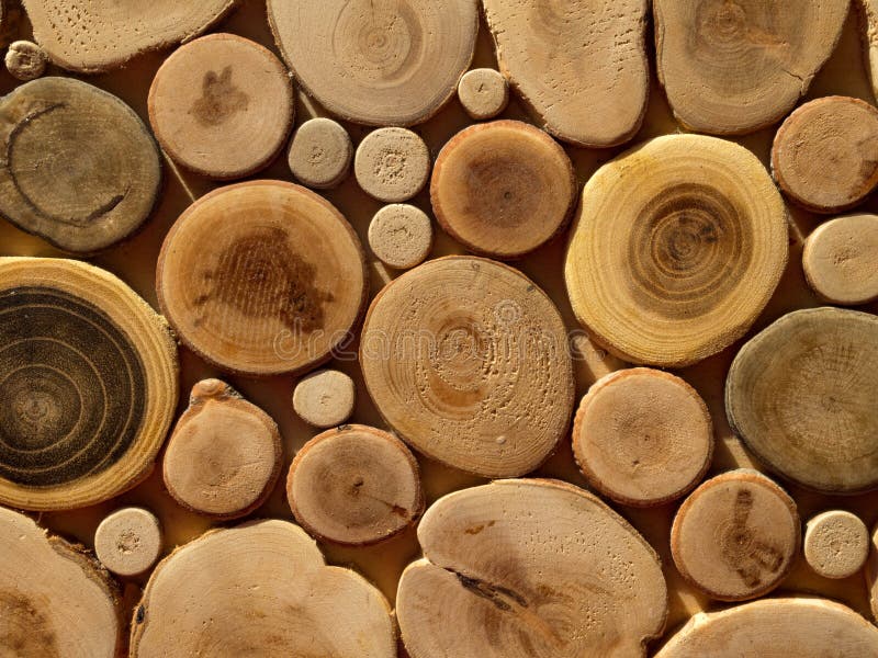 Stacked Wood Logs As Texture, Background Stock Image Image of forest