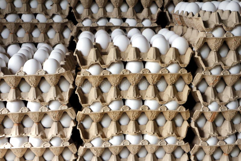 29,600+ Egg Tray Stock Photos, Pictures & Royalty-Free Images