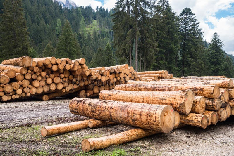 Pile of Logs on a Forest Road in the Alps and and Cloudy Sky royalty free stock image