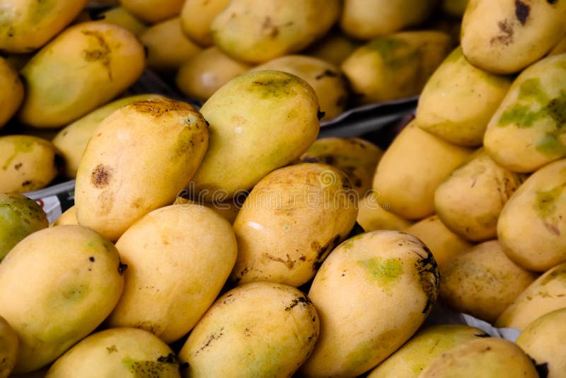 Stacks of Philippine Mangoes on Display in Market Stock Image Image