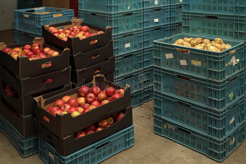 511 Fruit Vegetable Storage Warehouse Stock Photos Free & Royalty