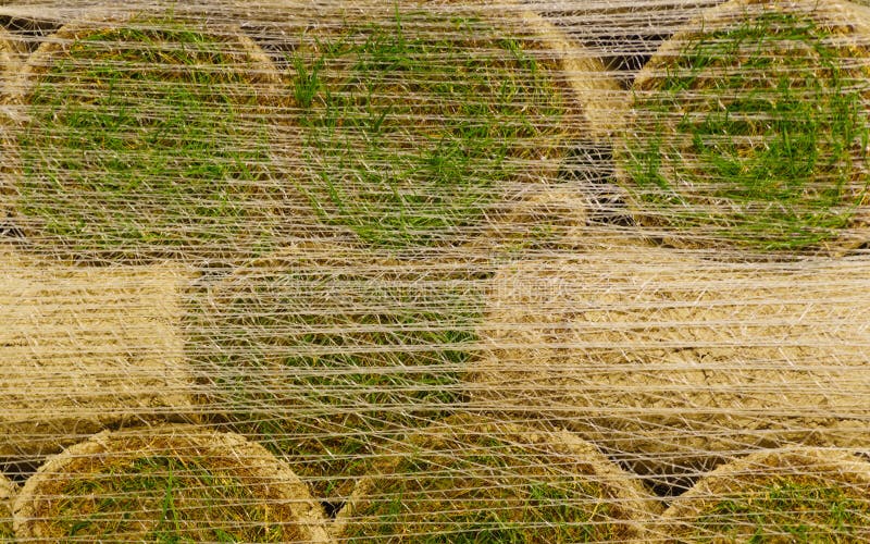 Stacks of Sod Rolls for New Lawn Stock Photo Image of natural, garden