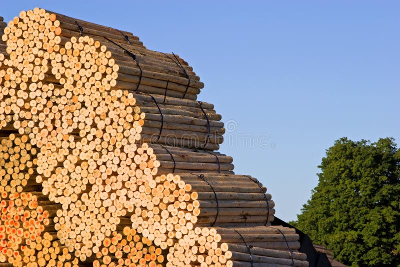 Stacks of wood at a saw mill