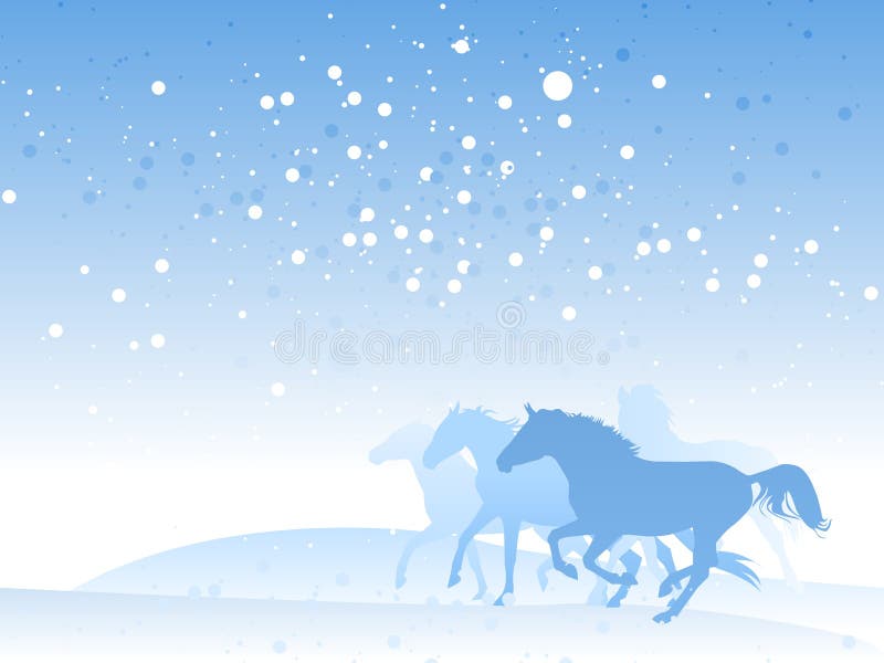 Horse herd in a winter. Horse herd in a winter