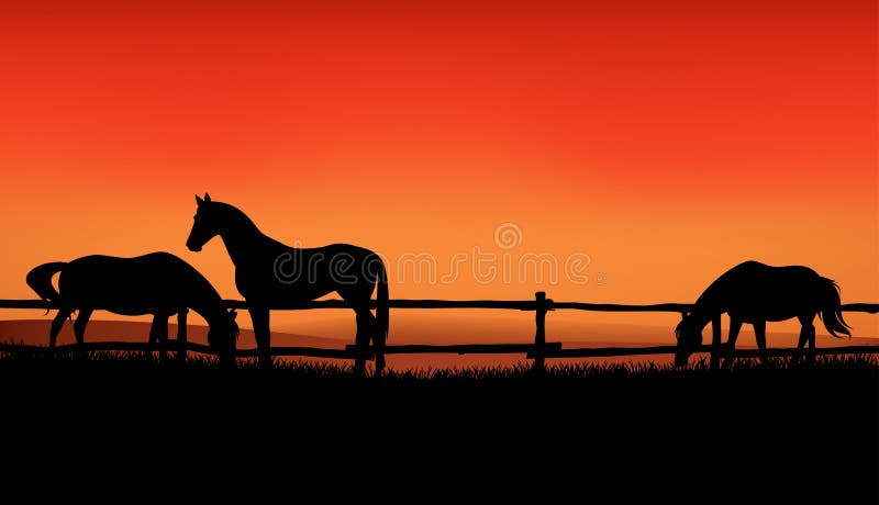 Herd of farm horses grazing at meadow behind wooden fence - sunset evening scene on the ranch vector silhouette design. Herd of farm horses grazing at meadow behind wooden fence - sunset evening scene on the ranch vector silhouette design