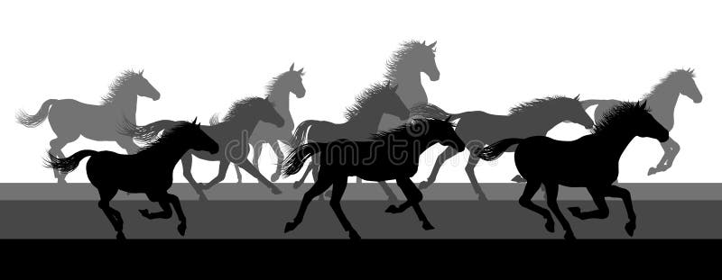 A running or stampeding herd of wild horses in silhouette. A running or stampeding herd of wild horses in silhouette
