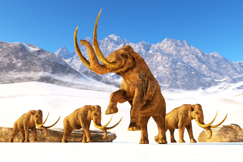 A herd of Columbian Mammoths navigate their way through a mountain range to get to a warmer climate. A herd of Columbian Mammoths navigate their way through a mountain range to get to a warmer climate