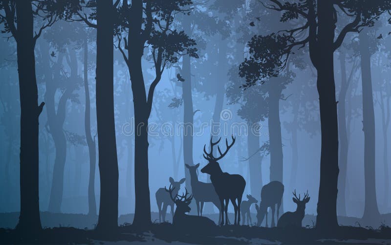 Natural background with the silhouette of a forest with a herd of deer. Natural background with the silhouette of a forest with a herd of deer.