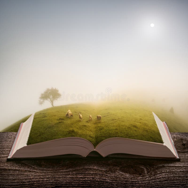 Herd of sheeps grazing on a meadow at morning on the pages of an open magical book. Majestic landscape. Nature and education concept. Herd of sheeps grazing on a meadow at morning on the pages of an open magical book. Majestic landscape. Nature and education concept.