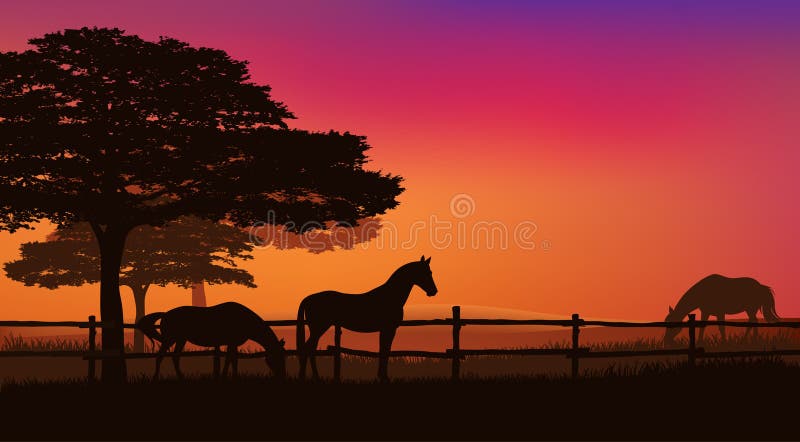 Herd of grazing horses behind wooden fence - sunset field and trees vector silhouette landscape. Herd of grazing horses behind wooden fence - sunset field and trees vector silhouette landscape