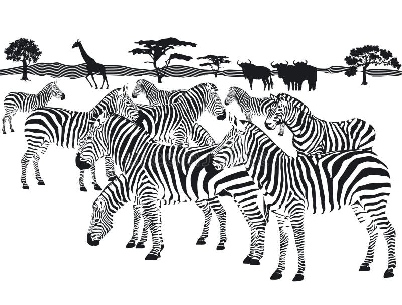 An illustration of a herd of zebras on a savanna setting. An illustration of a herd of zebras on a savanna setting.