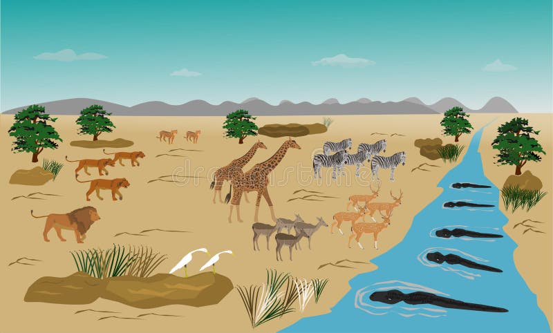 Herd of animals standing on the river. Because run out. From the swarm of lions. And the crocodile in the water,mountain background. Herd of animals standing on the river. Because run out. From the swarm of lions. And the crocodile in the water,mountain background