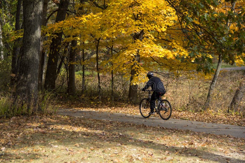 Stads- skog för cyklist i den Michigan nedgången royaltyfria bilder Stads- skog för cyklist i den Michigan nedgången royaltyfria bilder