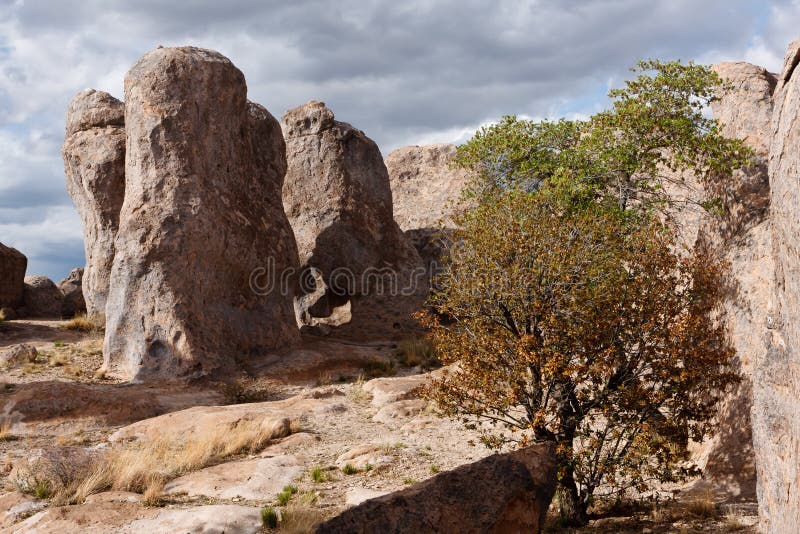 DER GEFL GELTE FELSEN IN NEW MEXIKO visual data 8