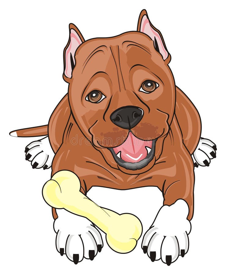 Brown pitbull lying with a bone royalty free illustration.