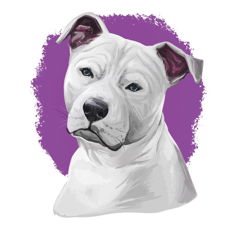 are staffordshire bull terriers intelligent