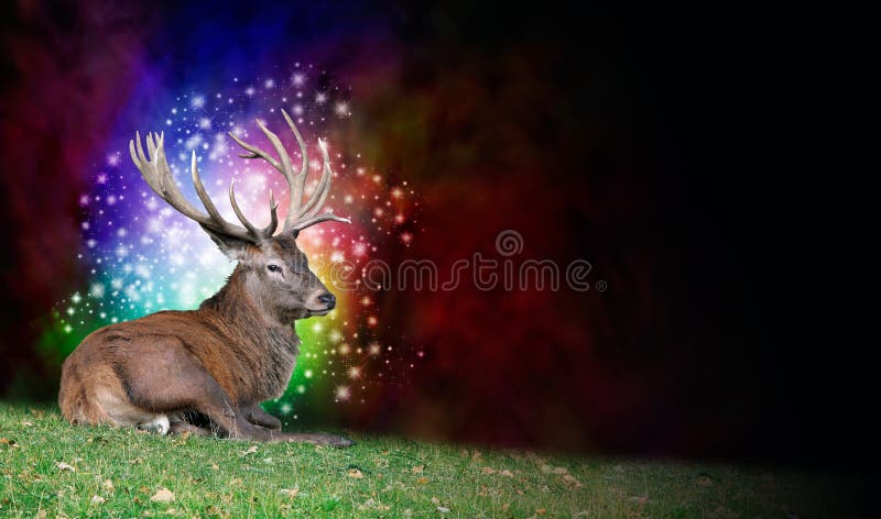 Animal Spirit Guide Stock Photos - Free & Royalty-Free Stock Photos from  Dreamstime