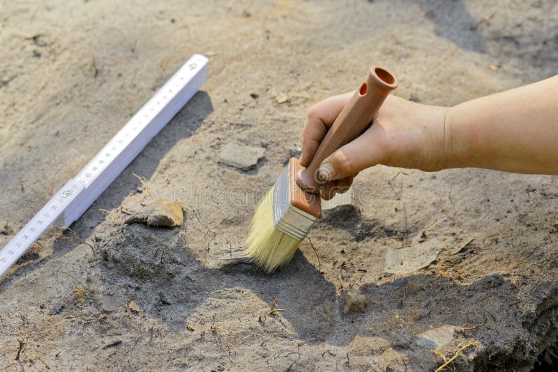 Archaeological Excavations Archaeologist Digger Process Researching Tomb  Human Bones Part Stock Photo by ©xolo-dan 254001256