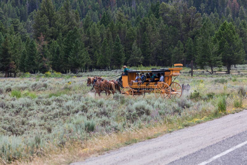 Stagecoach Ride in Yellowstone National Park royalty free stock images Stagecoach Ride in Yellowstone National Park royalty free stock images