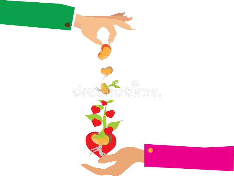 Stages of growth of plant and seed to tree royalty free illustration Stages of growth of plant and seed to tree royalty free illustration