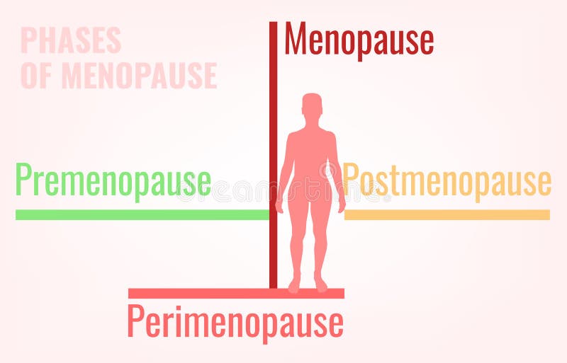 Menopause And Andropause Stock Vector Illustration Of Body 109718389