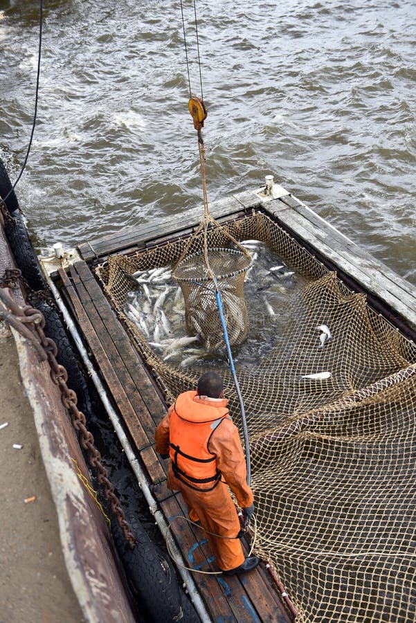 PONCHO BICICLETTA GANCIO Da Pesca Polpo Bambini Con Linea Di Nylon - Foto 3