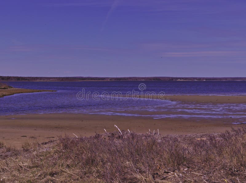 Stagno di marea 3503 fotografia stock libera da diritti Stagno di marea 3503 fotografia stock libera da diritti