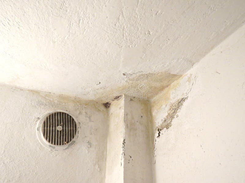 Ceiling Water Damage Stock Photos Download 1 065 Royalty Free Photos