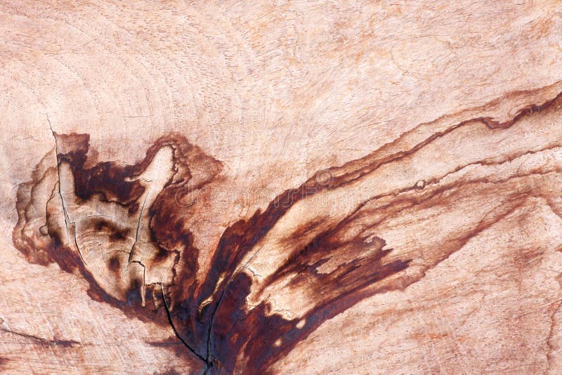 Stains on Wood Wall Caused by Splashing Rain Stock Photo Image of