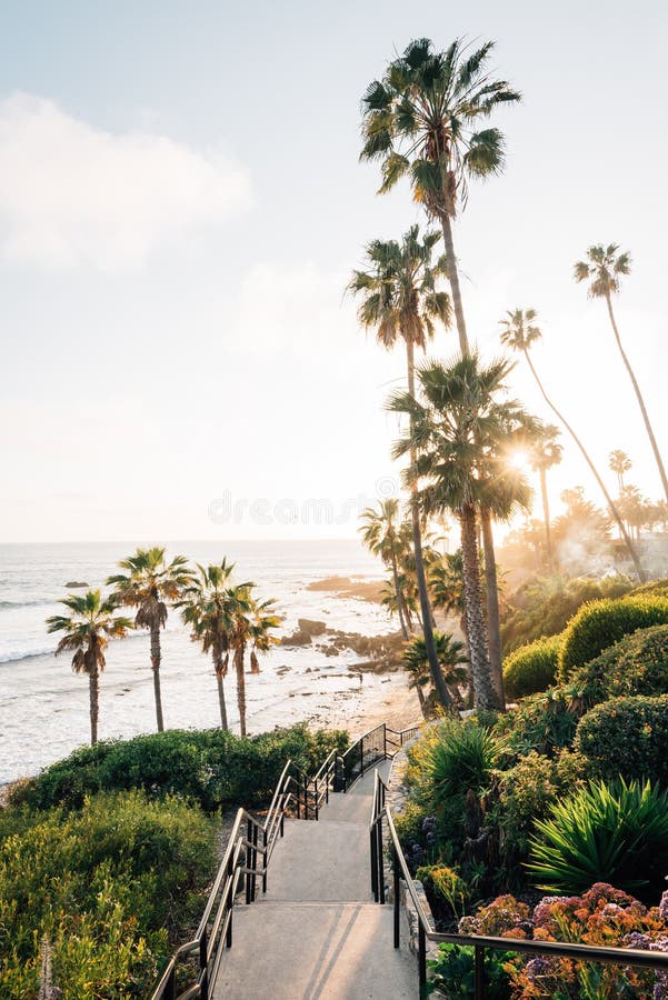 Cầu thang và cây cọ tại Heisler Park, Laguna Beach, Orange County là một trong những điểm đến lý tưởng cho những ai muốn thư giãn và tìm lại sự bình yên. Những hình ảnh về cầu thang và cây cọ sẽ khiến bạn cảm thấy hài lòng và muốn đến đây ngay lập tức. Hãy cùng xem nhé!