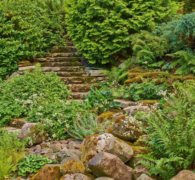 Stairs in the green overgrown garden royalty free stock photography