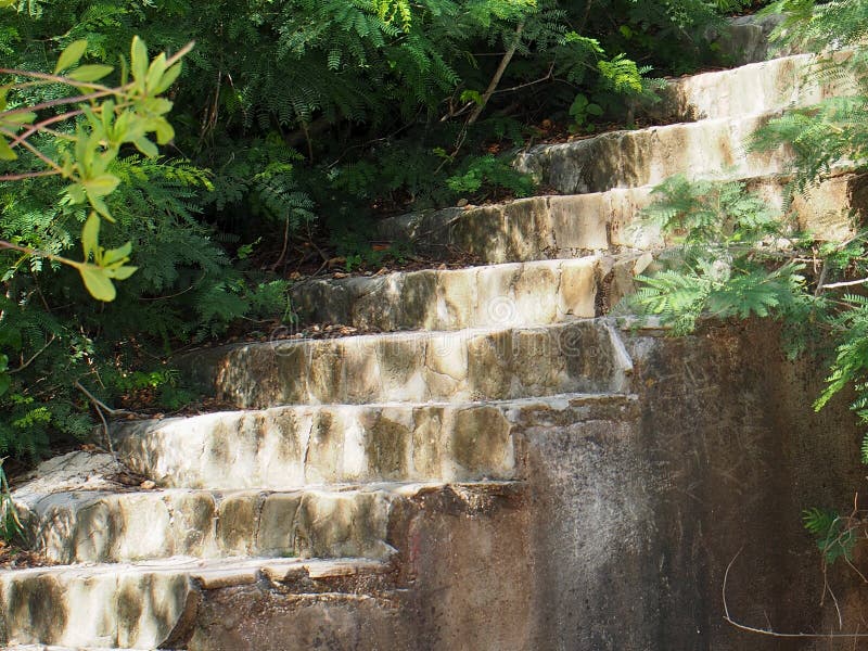 Stairs With Vegetation In Cuba royalty free stock photos Stairs With Vegetation In Cuba royalty free stock photos