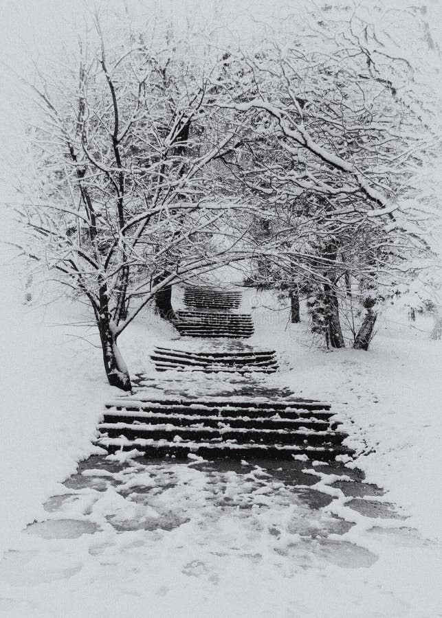 Stairway in winter