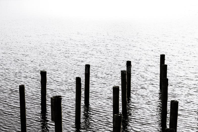 Stakes in the water stock photo. Image of stakes, lost 103199452