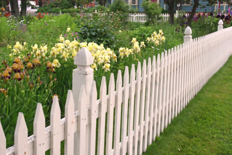 White picket fence along side a perennial flower garden. White picket fence along side a perennial flower garden.