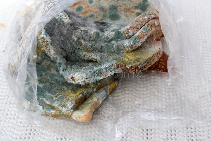 Stale Moldy Bread in a Plastic Bag Stock Image Image of background