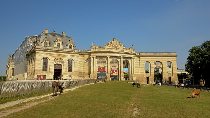 Stalle del castello di chantilly, Francia, con il prato con il cavallino! s nella parte anteriore immagine stock Stalle del castello di chantilly, Francia, con il prato con il cavallino! s nella parte anteriore immagine stock
