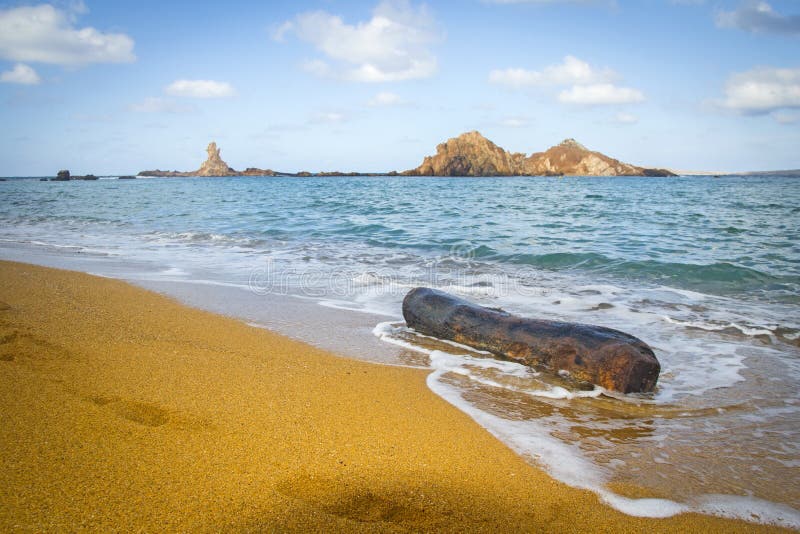 Stam i den Pregonda stranden, Menorca arkivfoto