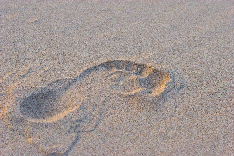 A stamp of the foot stock image. Image of sand, journey 3974871