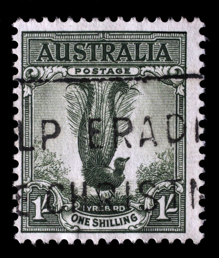 Stamp printed in Australia shows Male Superb Lyrebird, Menura Novaehollandiae, Songbird, circa 1956