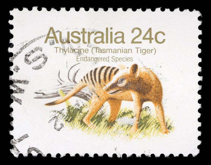 Stamp printed in Australia shows Tasmanian Tiger royalty free stock photos Stamp printed in Australia shows Tasmanian Tiger royalty free stock photos
