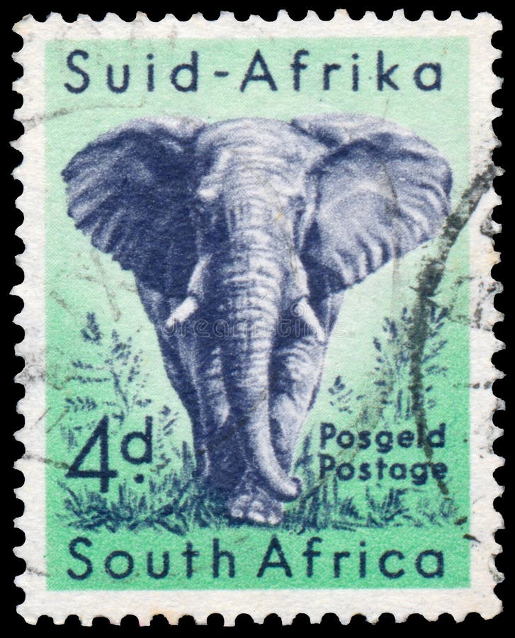 Stamp printed in the South Africa shows the African Elephant royalty free stock photography