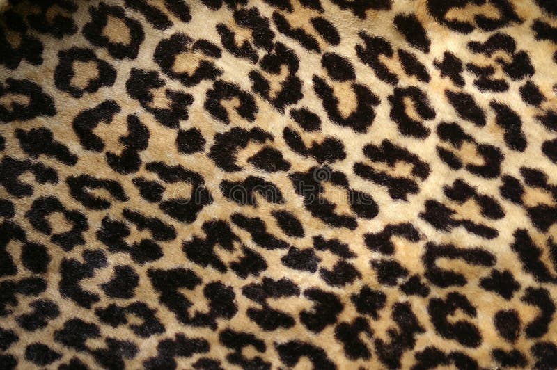 Stampa del leopardo