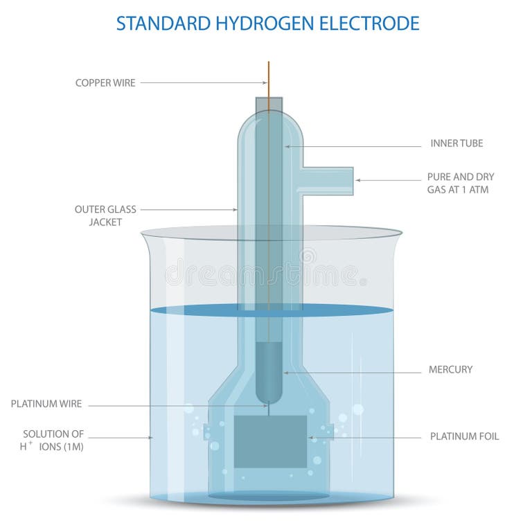 Hydrogen Electrode Stock Illustrations 79 Hydrogen Electrode Stock