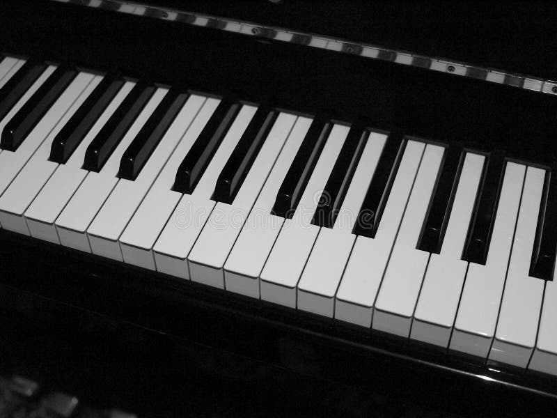 Standard Size Piano Keyboard in Black and White Stock Photo - Image of