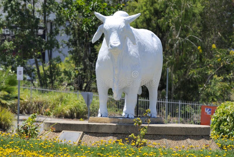 Standbeeld van Australische Brahmaanstier in Rockhampton, Australië royalty-vrije stock foto Standbeeld van Australische Brahmaanstier in Rockhampton, Australië royalty-vrije stock foto