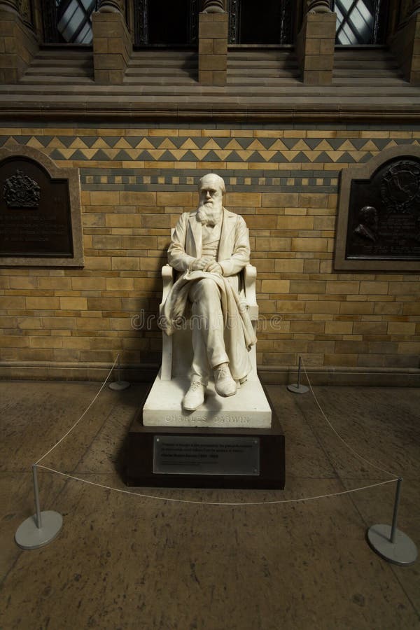 Standbeeld van Charles Darwin in het Wetenschapsmuseum royalty-vrije stock foto's Standbeeld van Charles Darwin in het Wetenschapsmuseum royalty-vrije stock foto's